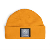 Litecoin Beanie — Silver Sequin