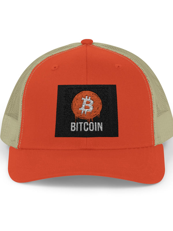 Bitcoin Trucker Cap — BTC Snapback — Mr. Lined crypto streetwear