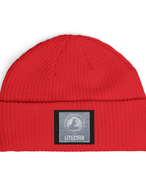 Litecoin Beanie — Silver Sequin — Mr. Lined crypto streetwear