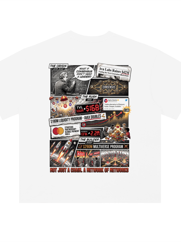 Avalanche T-Shirt — Network of Networks, 2021 — Mr. Lined crypto streetwear